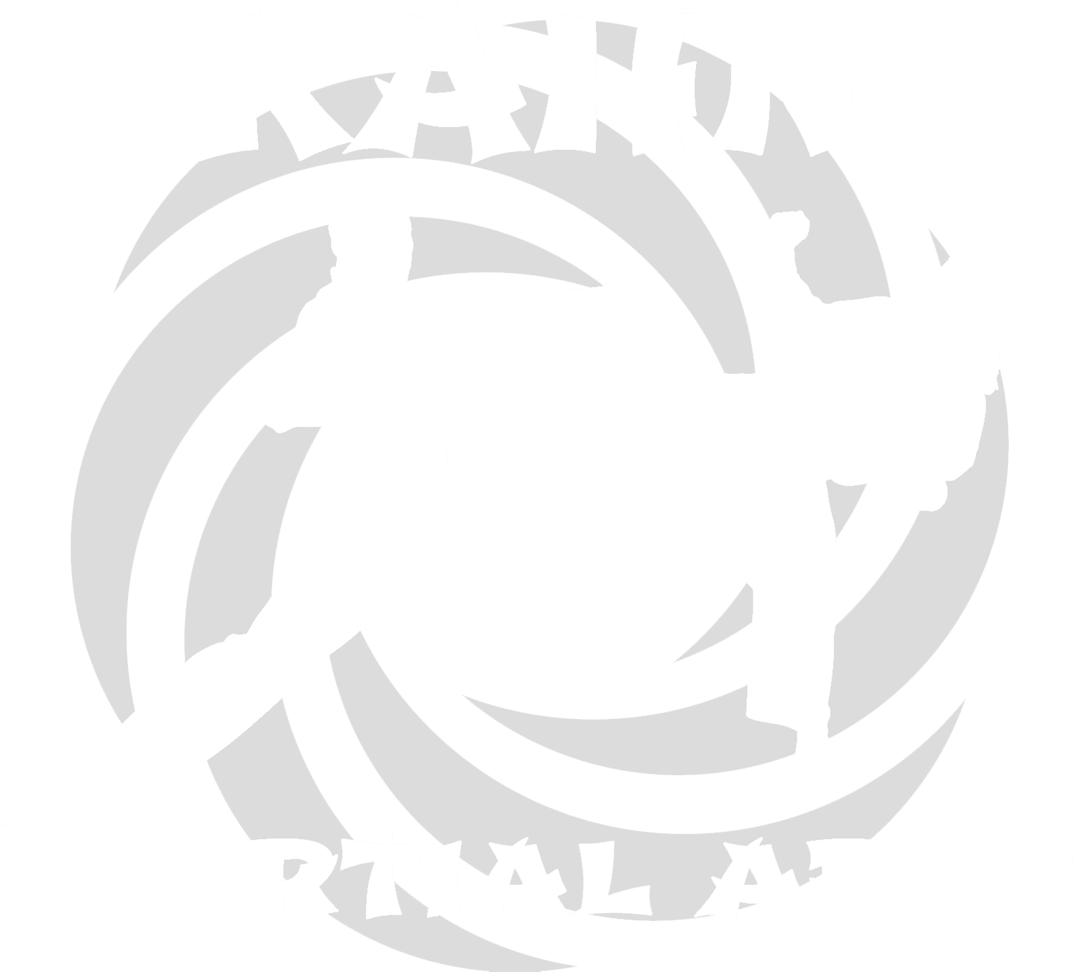 Kahnlogo, Kahn Martial Arts